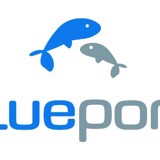 Bluepond - Bluepond