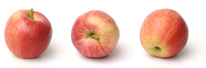 GTIN appel: 8721008864037 - batchnummer 1 - Appel Vrijstaand