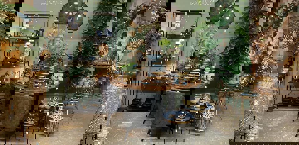 Coen Bakker Deco versnelt proces van data delen met GS1 - decostar_over_gs1_datapool_je_leert_wat_je_klanten_belangrijk_vinden