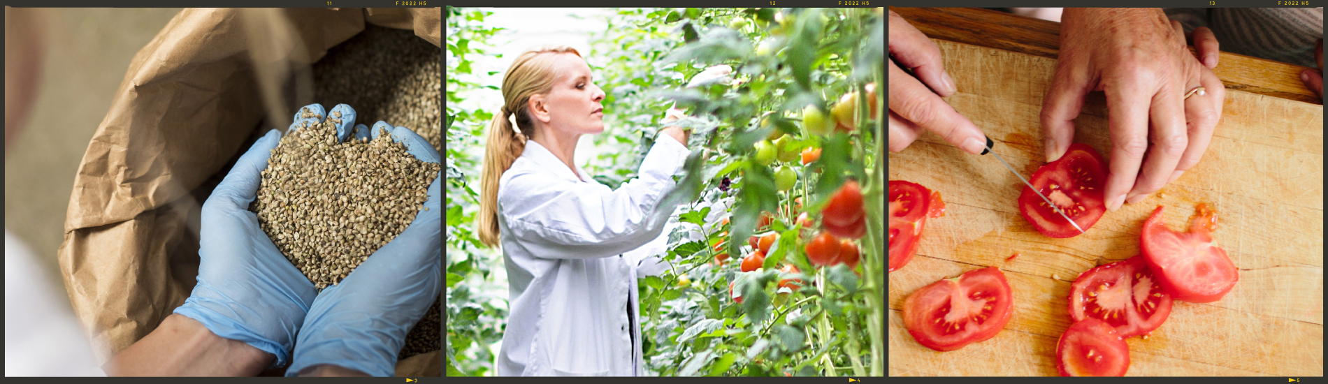 Het begint met unieke identificatie  - Sliderimages Template01 01 1900X550px
