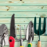 Nieuwsbrief doe-het-zelf, tuin en dier - Tuin En Dierretailers Vol Aan De Slag Met De GS1 Datapool (2) (1) (1)