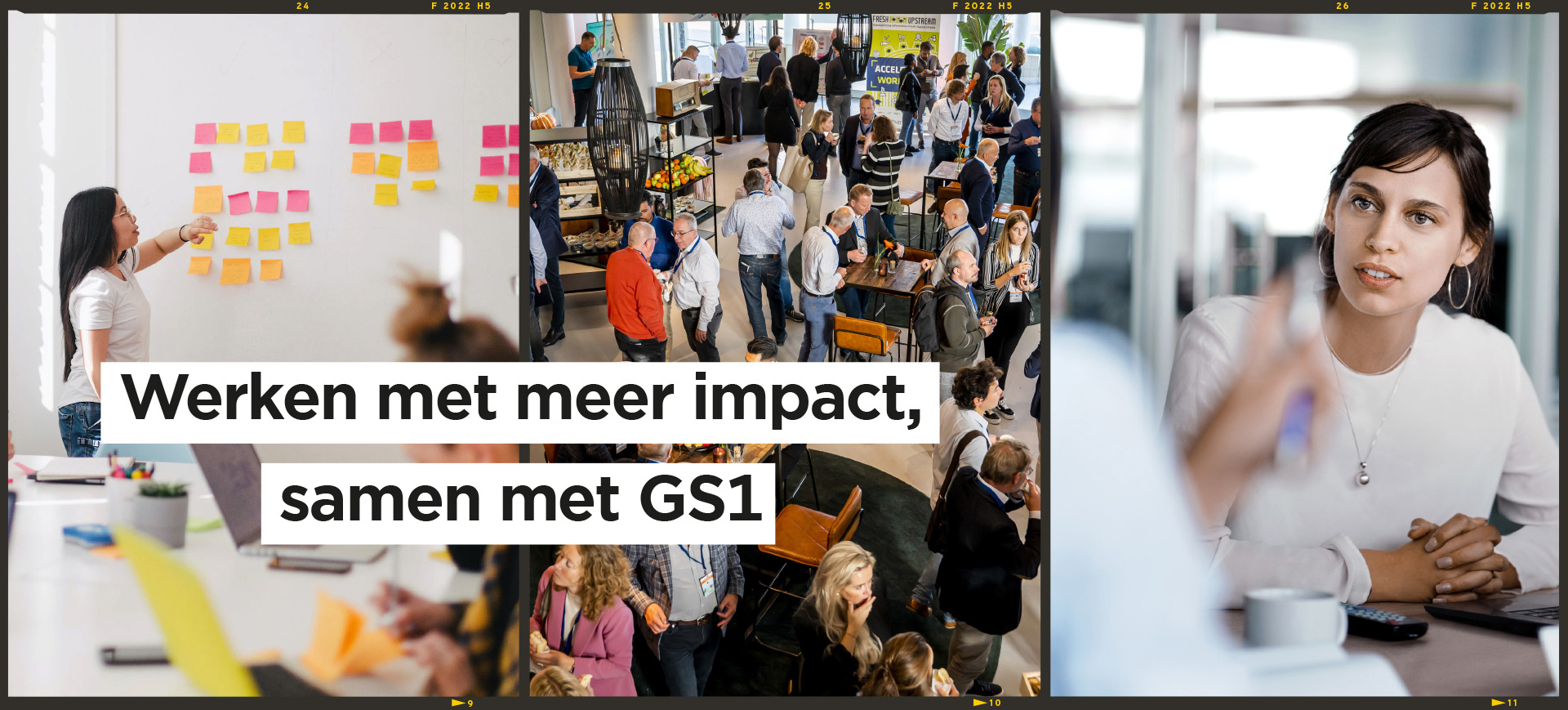 GS1 Template 02 Web