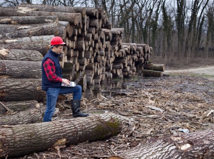 Man Met Hout EUDR