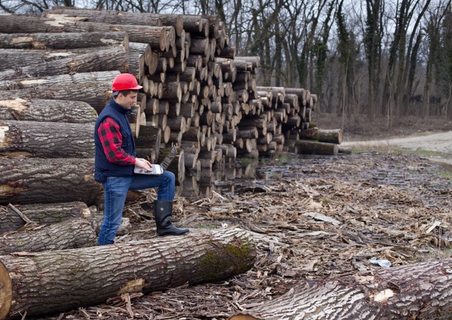 Certificaten en claims - Man Met Hout EUDR