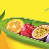 Fruit Logistica 2023 01 17 16 57 37 Window
