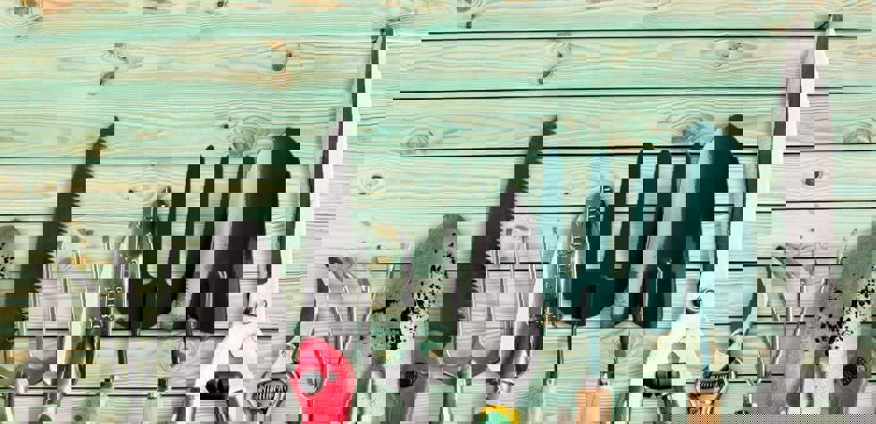 Nieuwsbrief tuin en dier - Tuin En Dierretailers Vol Aan De Slag Met De Gs1 Datapool (1) (1) (1) (1)