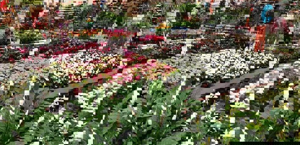 Nieuwsbrief tuin en dier - Tuincentrum Osdorp Boekt Flinke Online Groei Met Gs1 Datapool (1) (1)