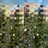 Nieuwsbrief tuin en dier 17 december 2021 - Tuinretailer Ohgreen Zet Gs1 In Voor Digitale Transformatie