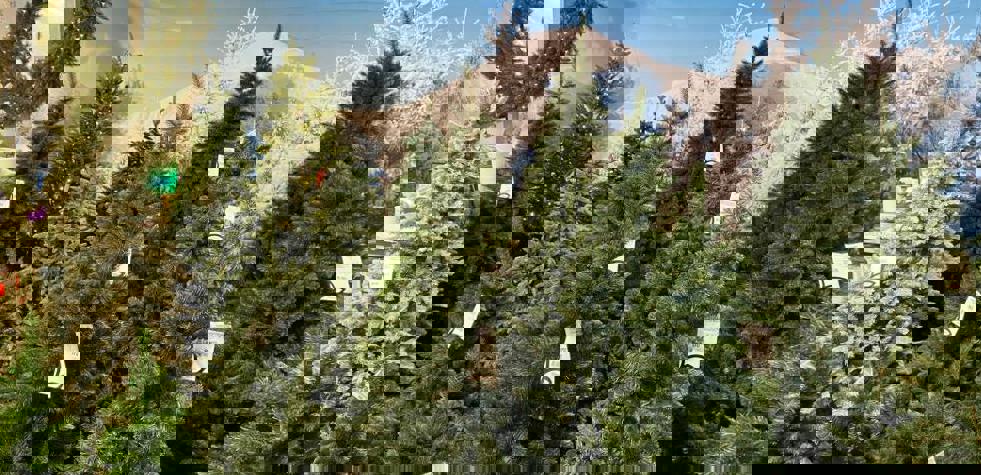 Nieuwsbrief tuin en dier - Tuinretailer Ohgreen Zet Gs1 In Voor Digitale Transformatie