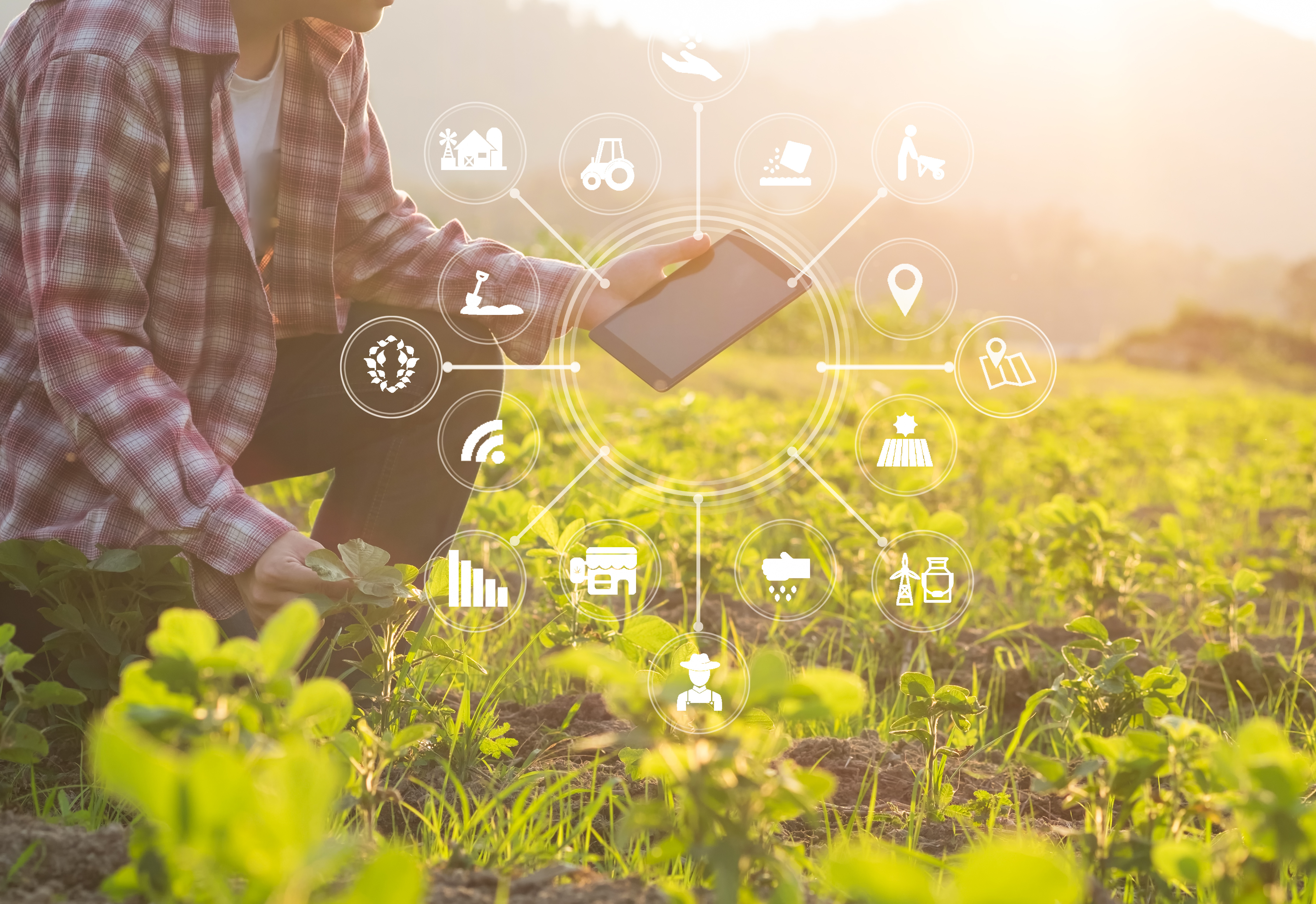 Digitale communicatie in agroketen eindelijk goed geregeld - Adobestock 207517197