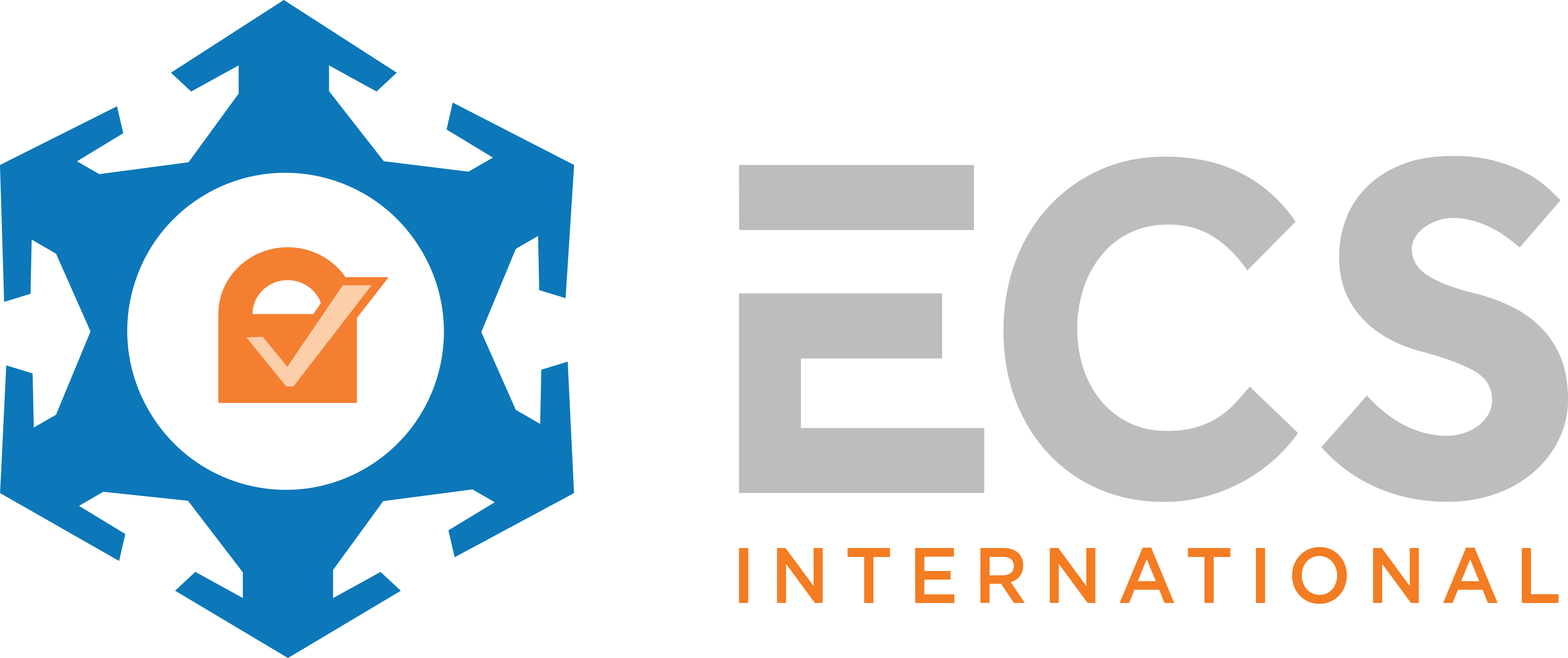 ECS International B.V. ECS Logo